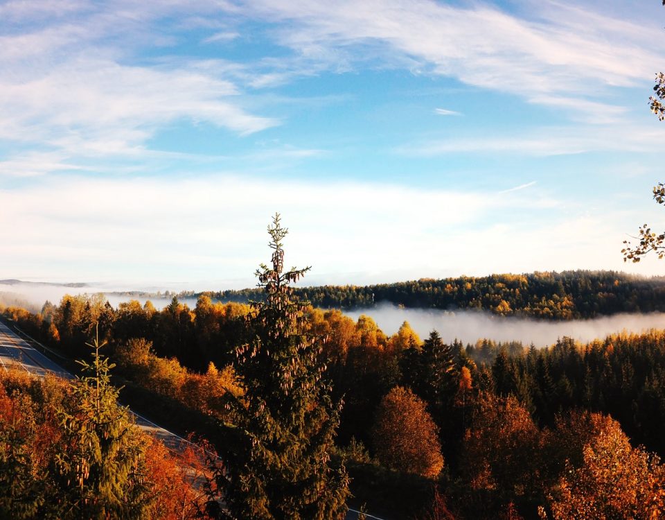 Dezynfekcja Lublin i Ozonowanie pomieszczeń na Poziomie w Ozoner